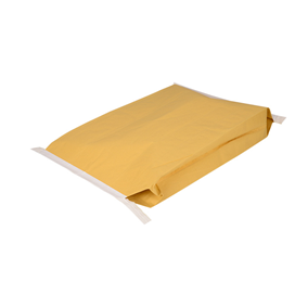 Paper plastic inner valve pocket